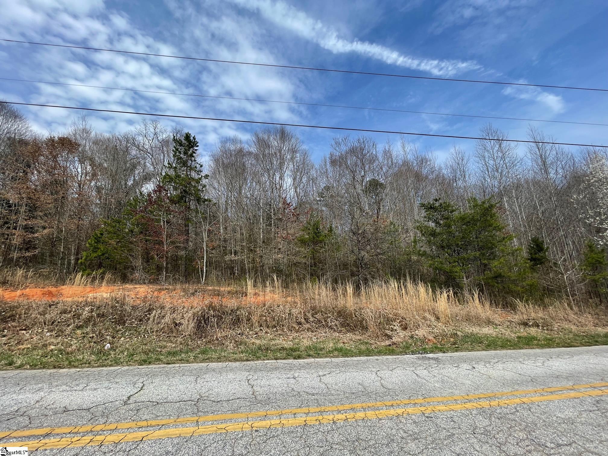 303 Talley Bridge Road Marietta, SC 29661 - Photo 2 of 13
