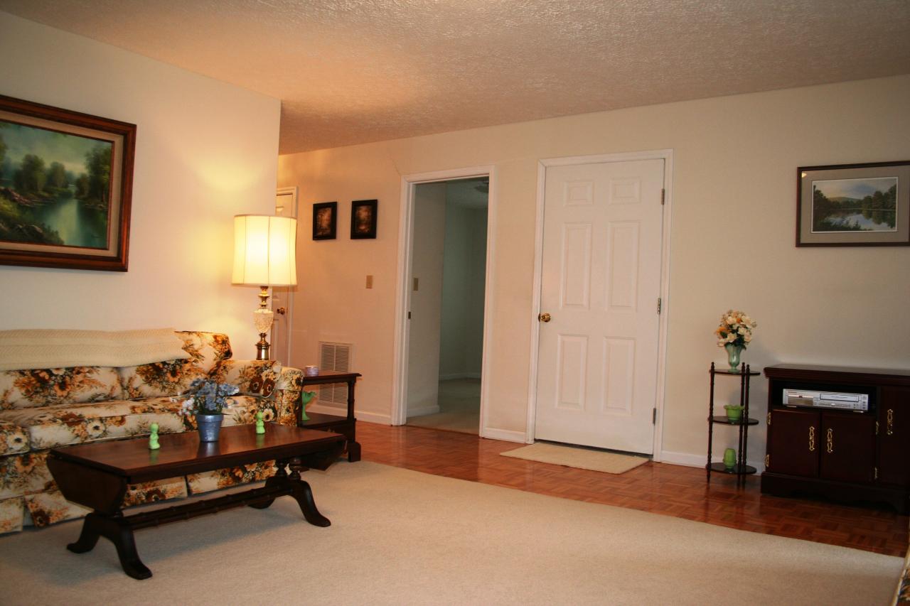 45 Village Road Lewisburg, WV 24901 - Photo 14 of 31 Living Room pic 5