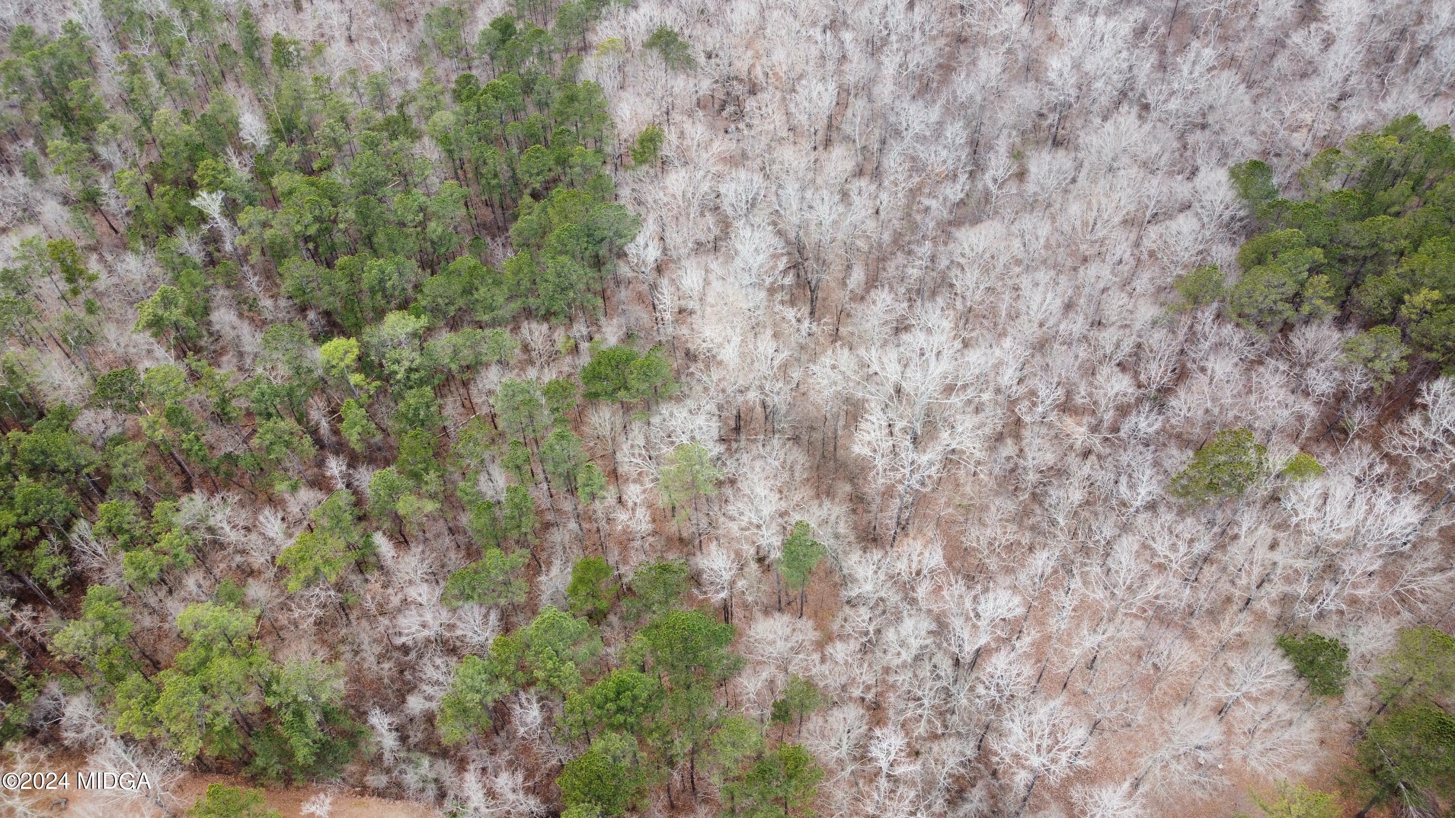 dji_fly_20240123_160416_125_170610398926