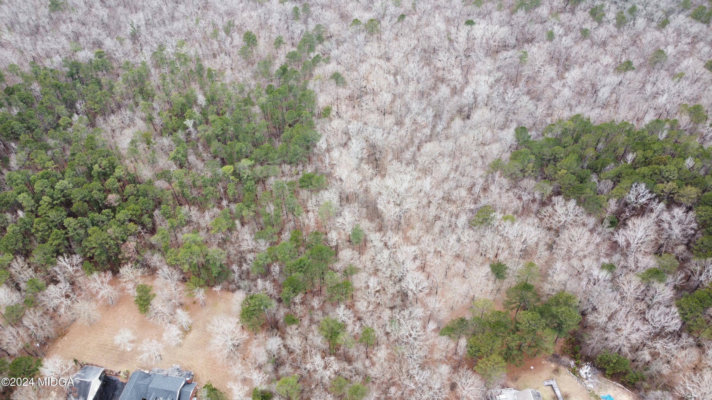 dji_fly_20240123_160642_127_170610397781