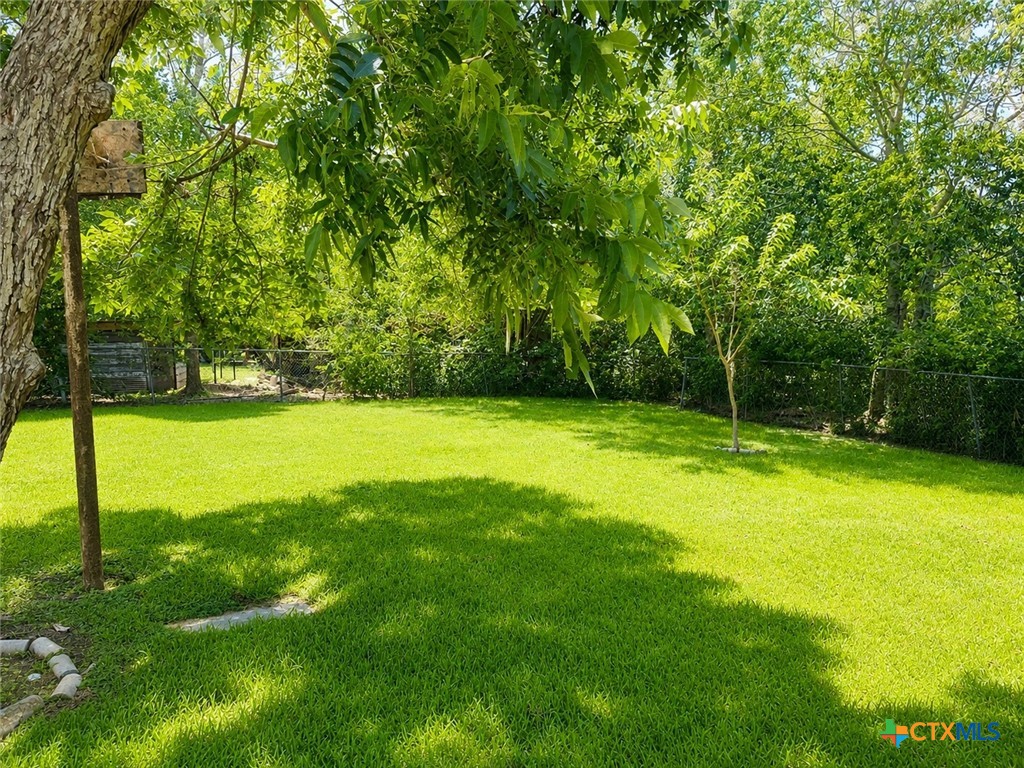 109 South Colorado Street Edna, TX 77957 - Photo 10 of 11