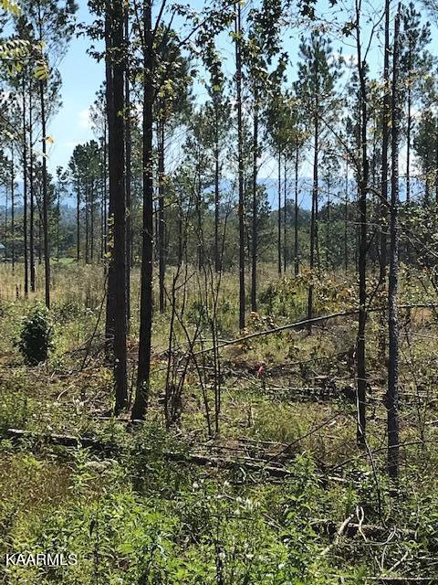 7.5-ac Pinhook Road Calhoun, TN 37309 - Photo 8 of 19 Chestuee 35 2