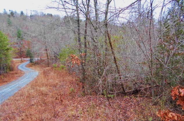 0 Spring Creek Lane Blue Ridge, GA 30513 - Photo 1 of 1