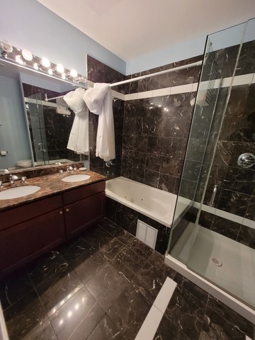4546 South Indiana Avenue, Unit 2N Chicago, IL 60653 - Photo 11 of 16 a bathroom with a sink and a mirror