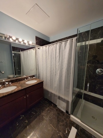 4546 South Indiana Avenue, Unit 2N Chicago, IL 60653 - Photo 12 of 16 a bathroom with a double vanity sink and mirror