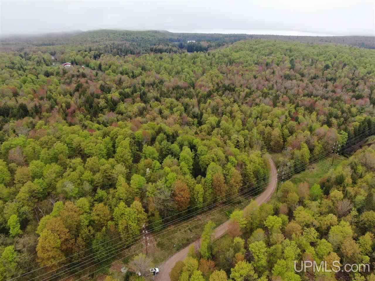 0 County Road 577 Road, Unit ANNA RIVER RDP Munising, MI 49862 - Photo 3 of 26
