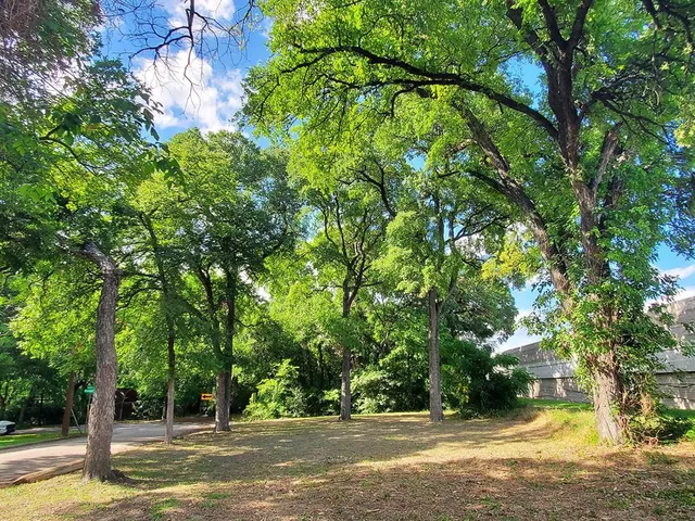 a view of street with trees