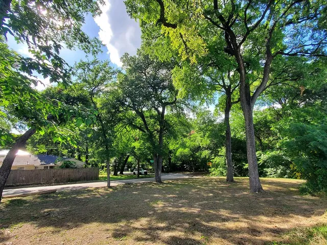 a view of a street with a tree