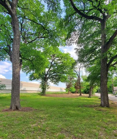 a huge green field with lots of trees