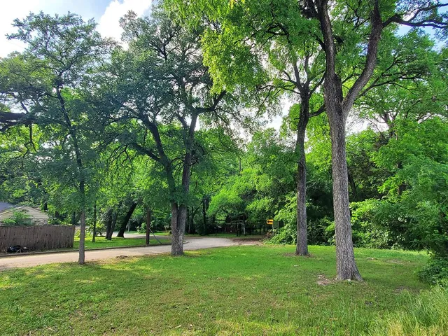 a view of a trees in a yard