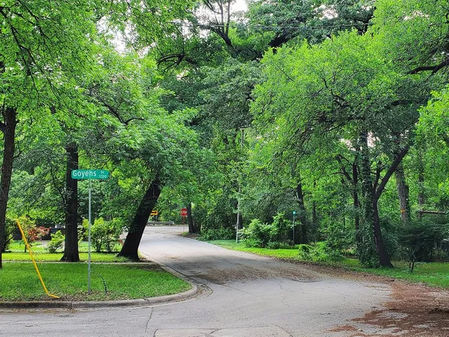 a view of a park with a trees