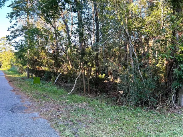 $55,900 | Tbd Oak Street, Georgetown, SC 29440