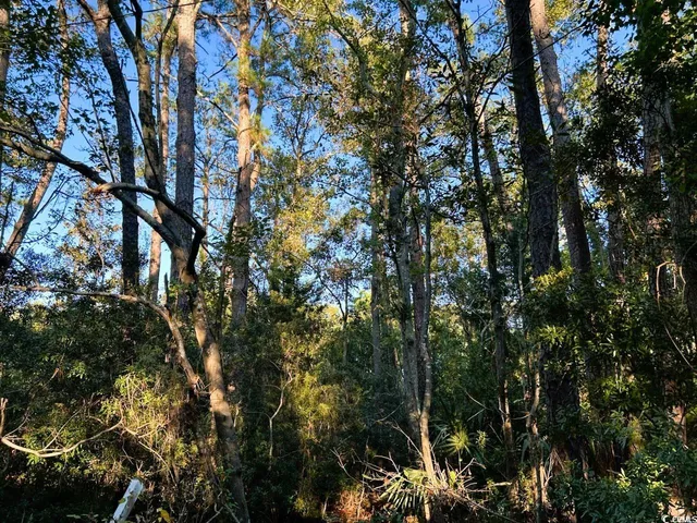 $55,900 | Tbd Oak Street, Georgetown, SC 29440