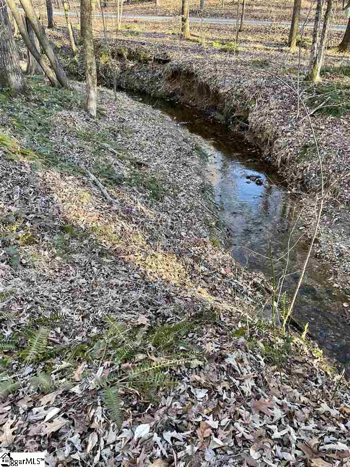 0 Left Bank Court Laurens, SC 29360 - Photo 3 of 4