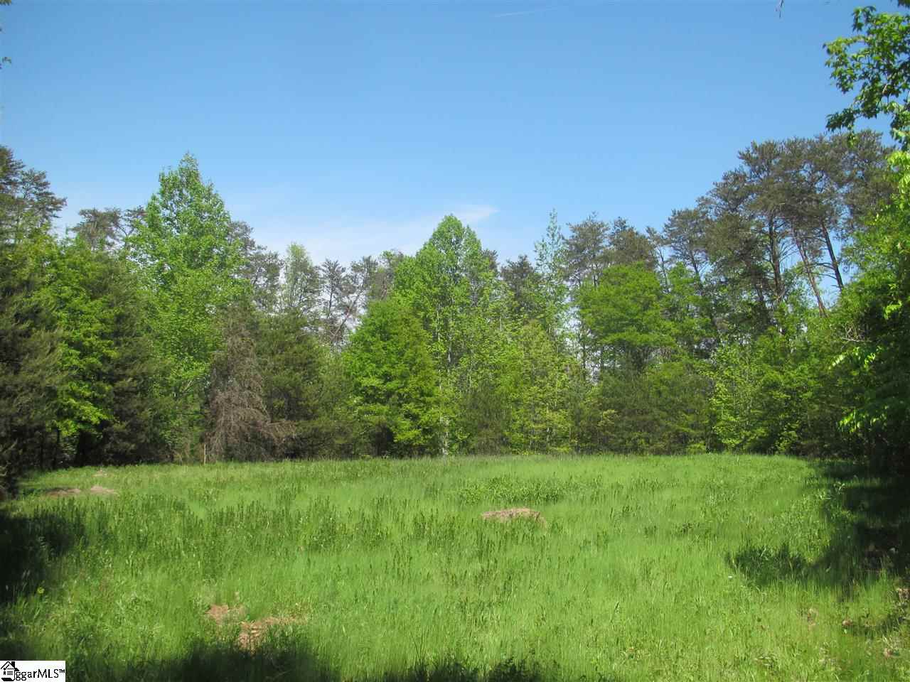0 Grant Valley Road Easley, SC 29640 - Photo 1 of 1