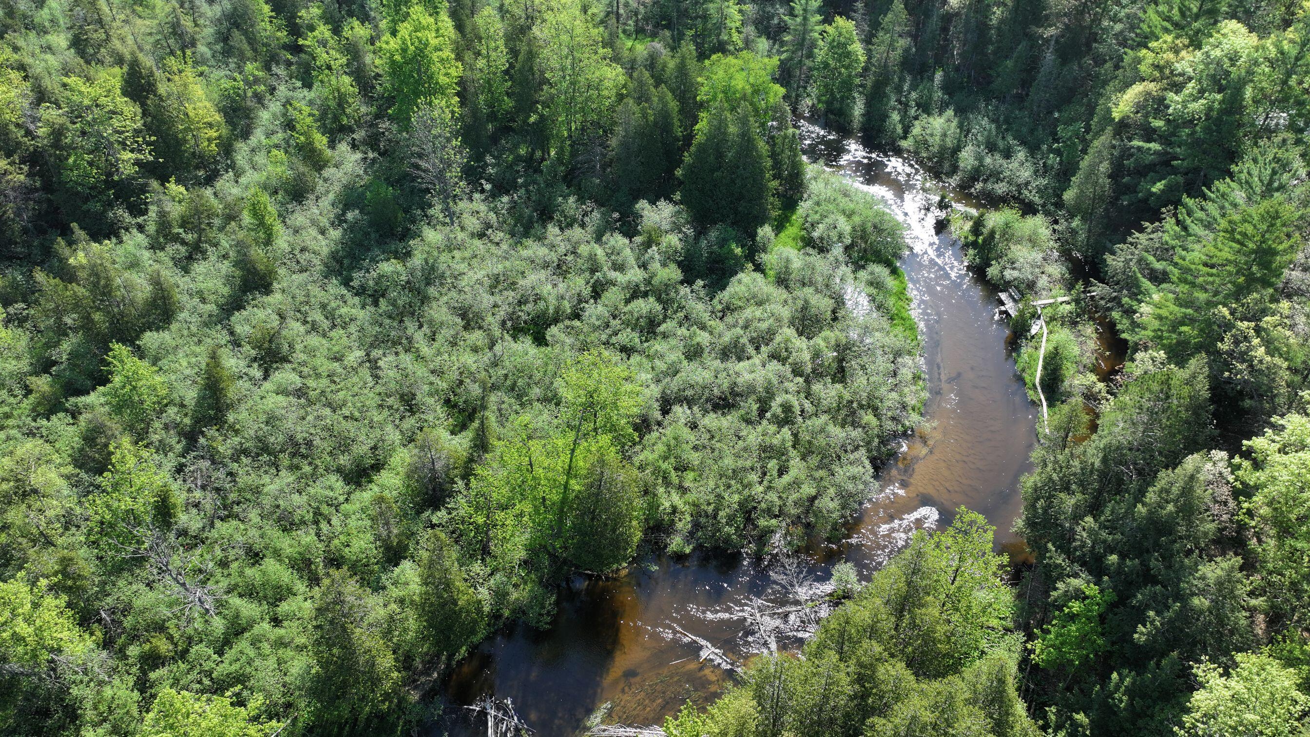 V/l West Pomeroy Springs Road Irons, MI 49644 - Photo 10 of 27 DJI_20260526095559_0380_D
