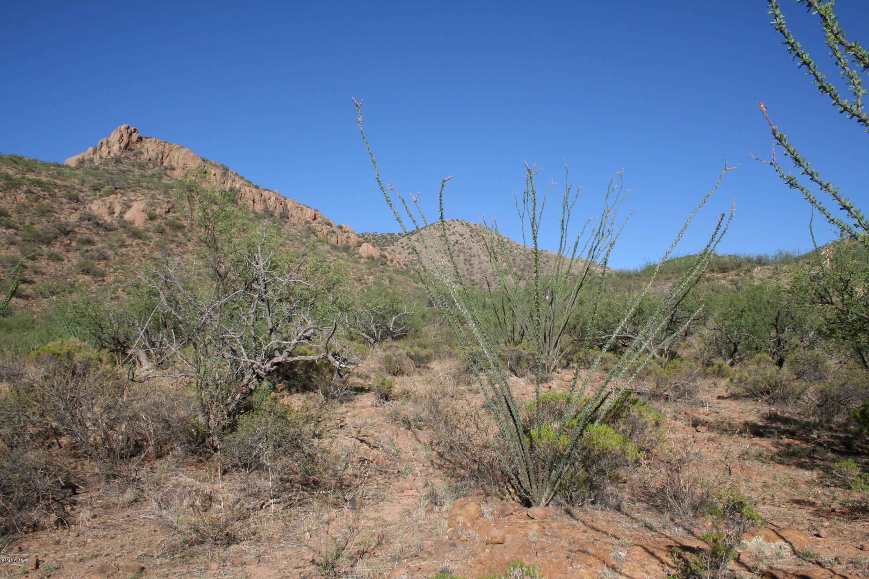 37 Copper Canyon Road, Unit 140 Rio Rico, AZ 85648 - Photo 6 of 17 IMG_9490