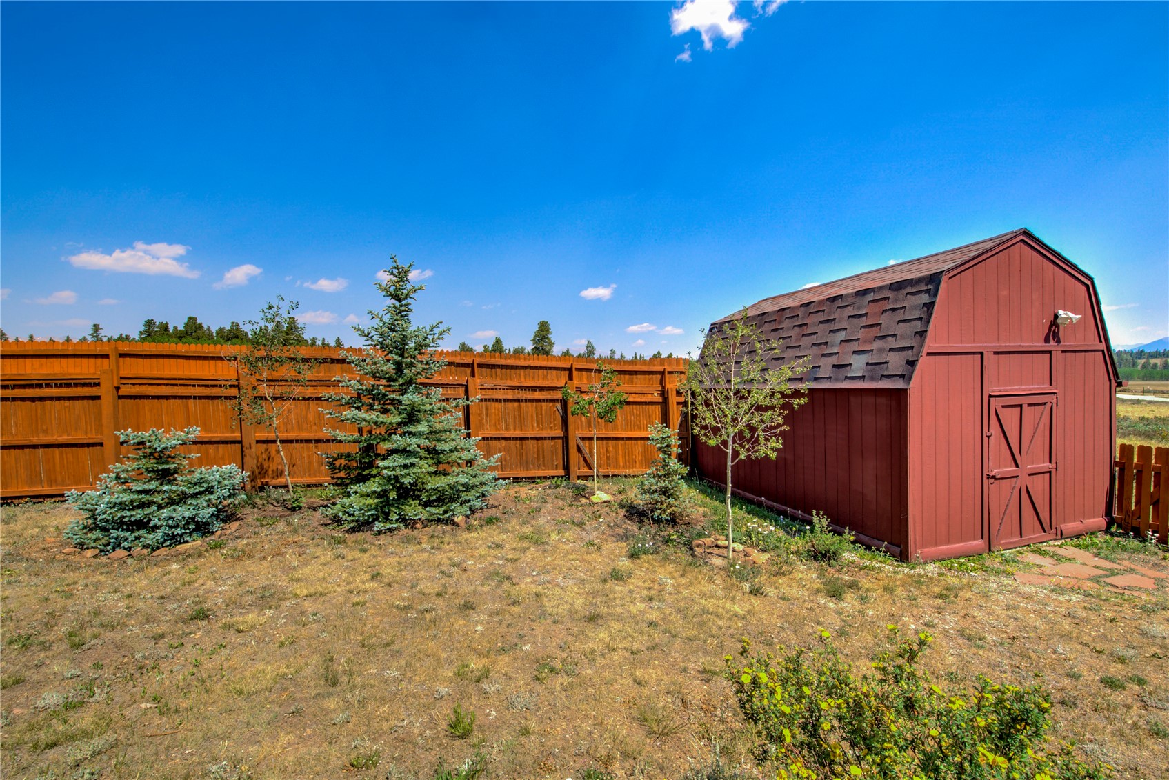 653 Vine Road Fairplay, CO 80440 - Photo 8 of 50