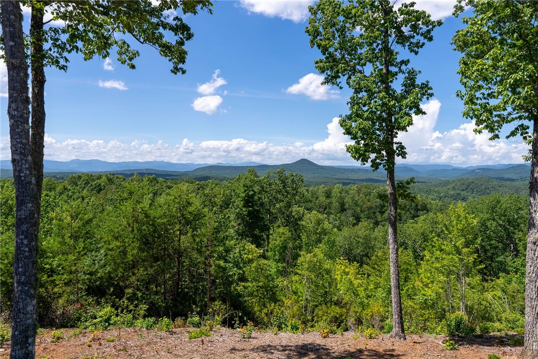 711 Scharlin Drive Pickens, SC 29671 - Photo 45 of 50 Mountain Views From Clubhouse