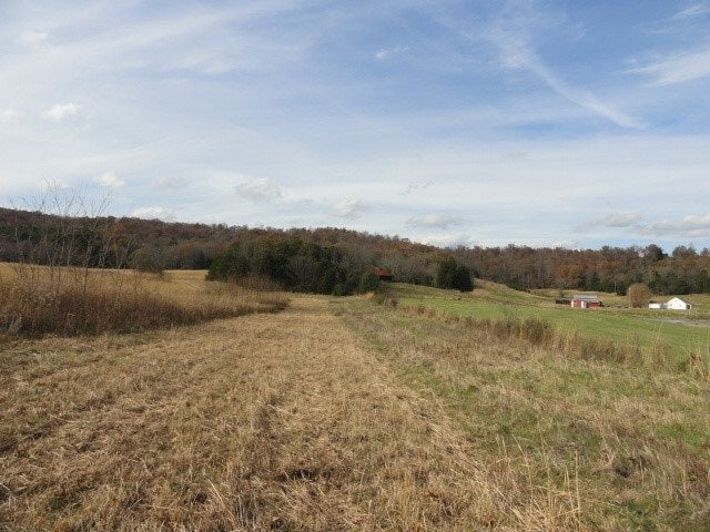 Ac Farmer Road Cave City, KY 42127 - Photo 9 of 12 Gallery Image 9