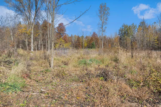 $45,000 | Vl 3.87-ac Vl 3.87-ac 24th Avenue, Grand Junction, MI 49056