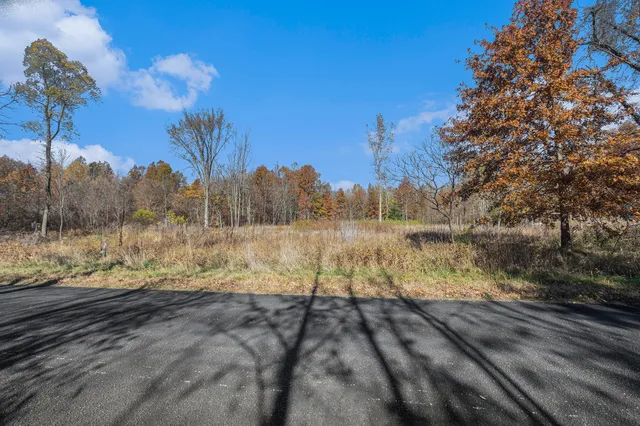 $45,000 | Vl 3.87-ac Vl 3.87-ac 24th Avenue, Grand Junction, MI 49056