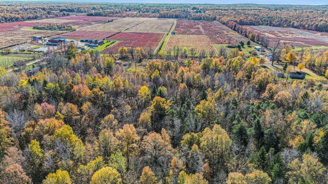 $45,000 | Vl 3.87-ac Vl 3.87-ac 24th Avenue, Grand Junction, MI 49056