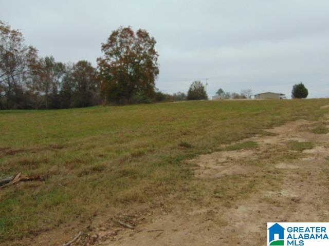 805 County Road 342, Unit 1 Maplesville, AL 36750 - Photo 5 of 7
