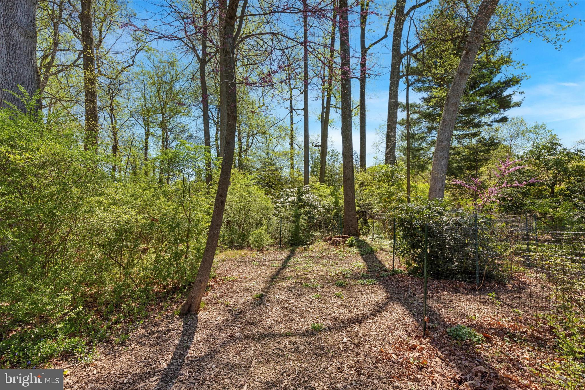 786 Bair Road Berwyn, PA 19312 - Photo 34 of 37 Back Yard
