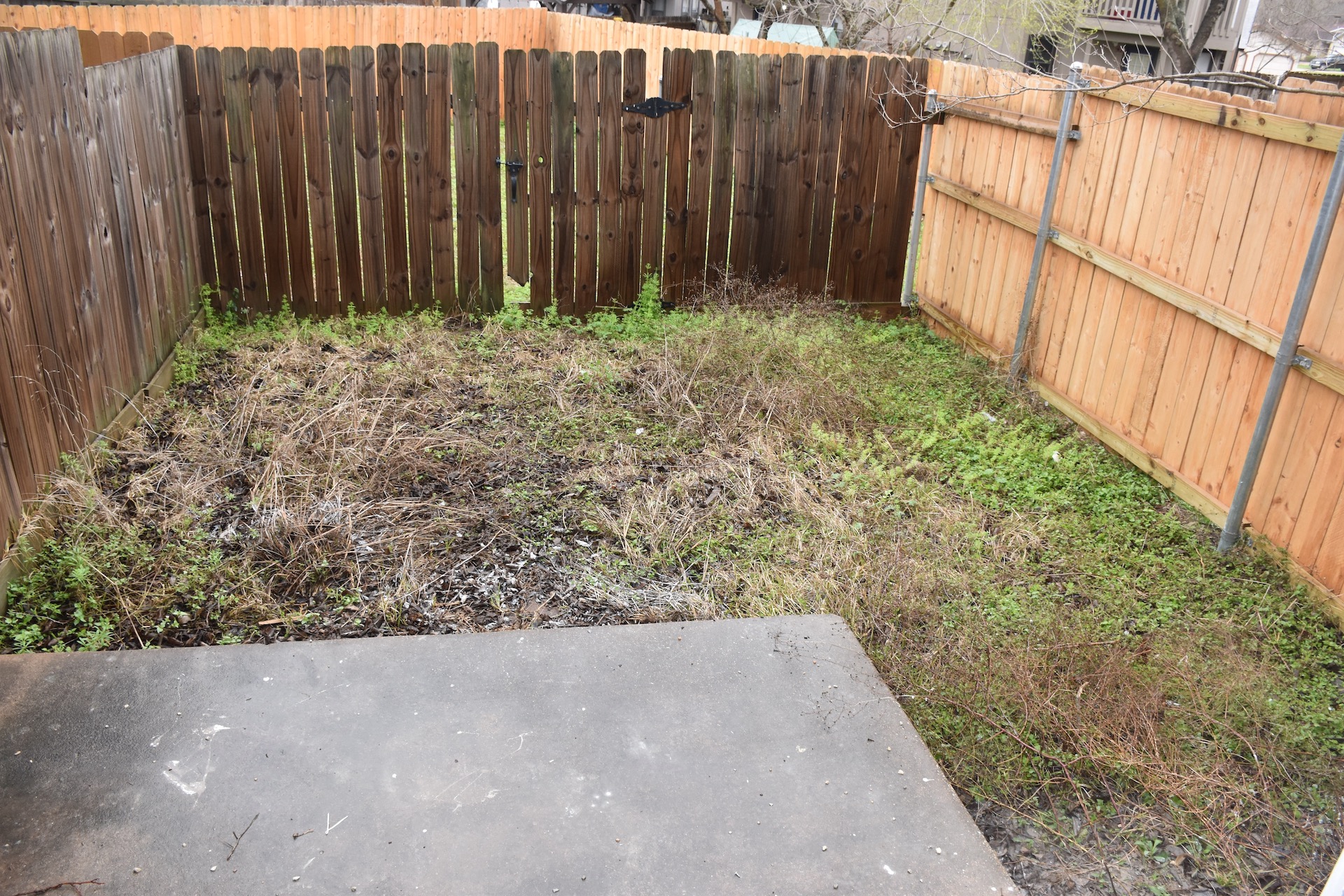 1810 Rawhide Loop Round Rock, TX 78681 - Photo 29 of 29 Enclosed backyard space featuring a concrete patio pad and wood-panel fencing