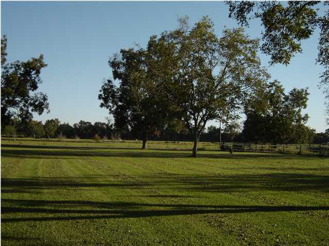 607 Lantier Road Carencro, LA 70520 - Photo 4 of 6 Additional Photo