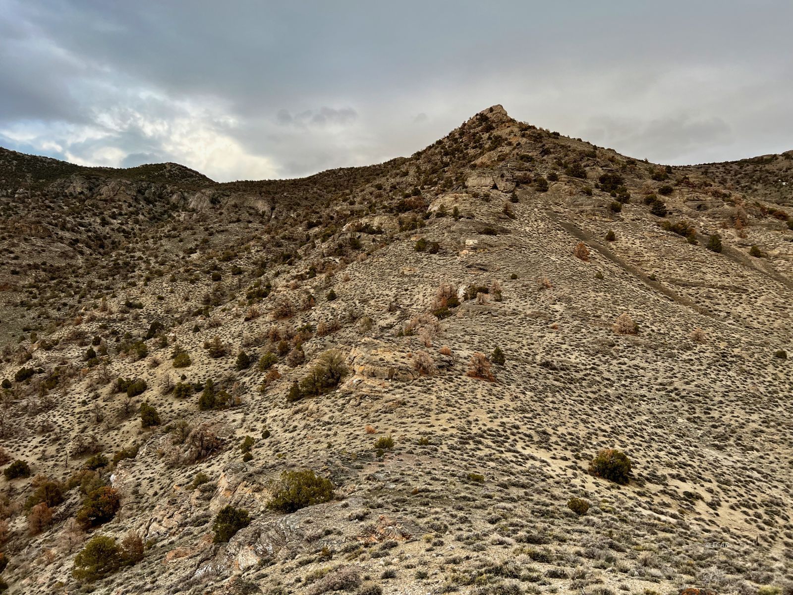 Na Ridge Montello, NV 89830 - Photo 9 of 25