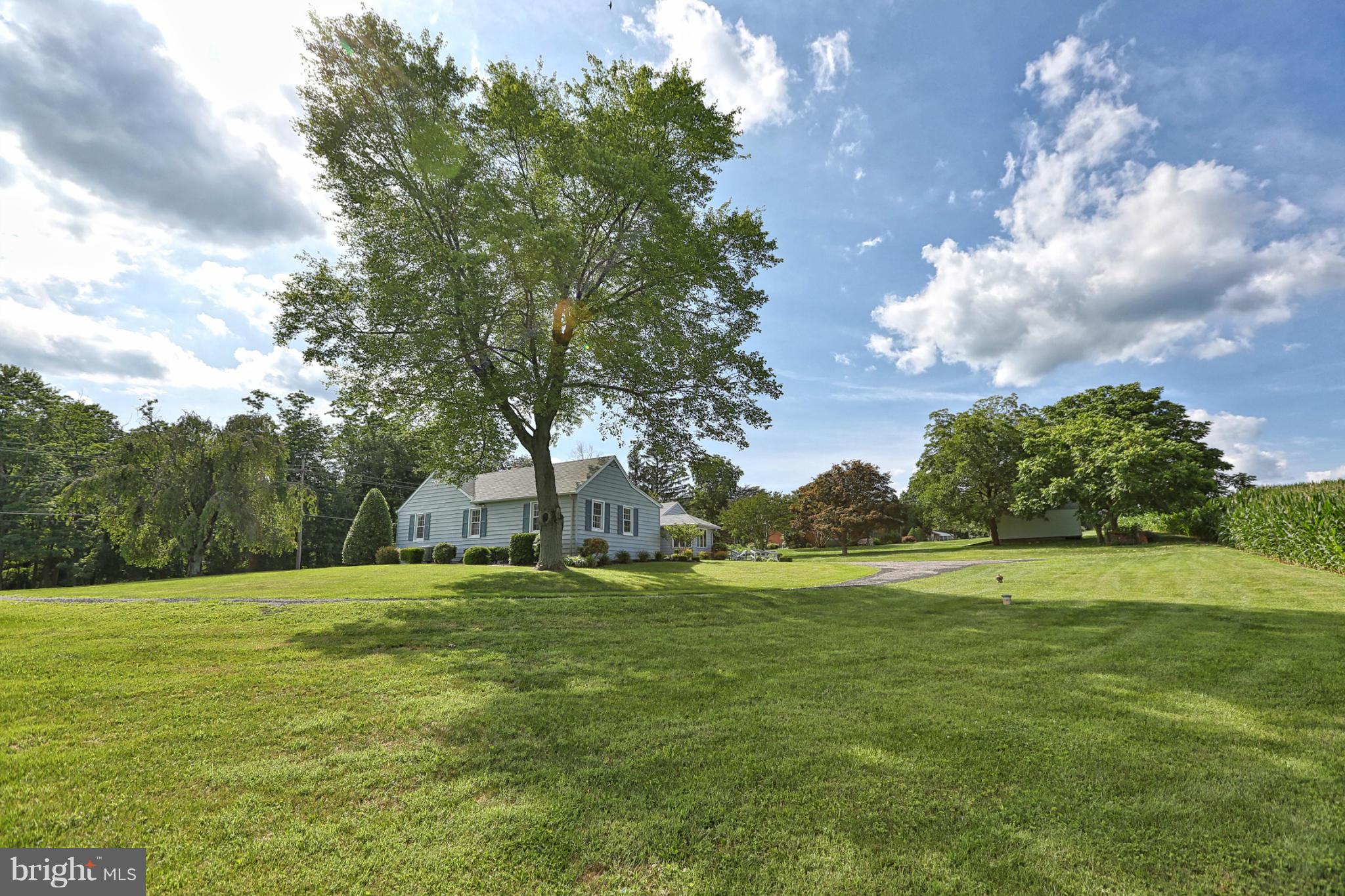 13025 Manor Road Glen Arm, MD 21057 - Photo 23 of 30 Mature Trees Accent The Landscape
