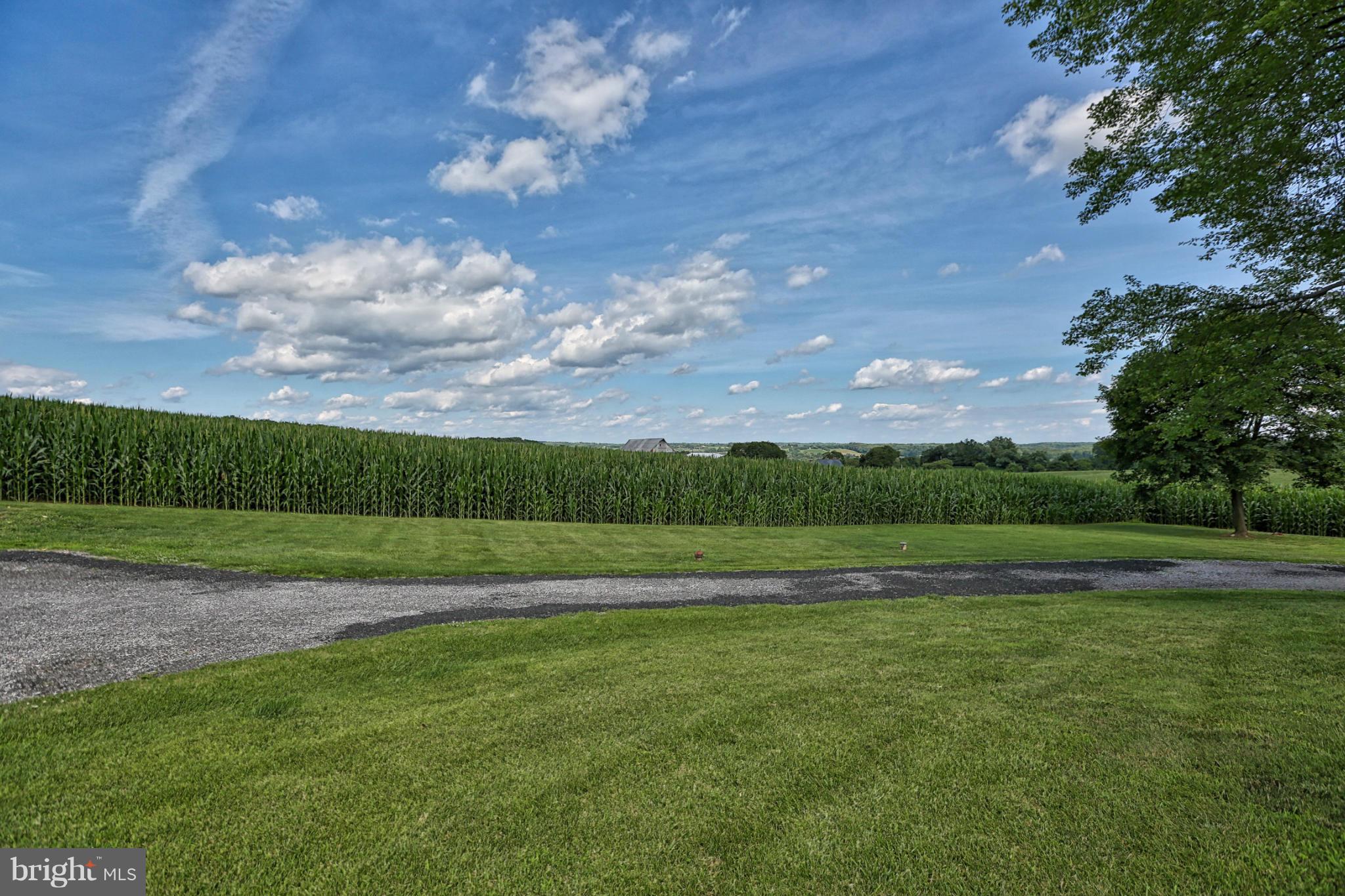 13025 Manor Road Glen Arm, MD 21057 - Photo 29 of 30 Enjoy Blue Skies & Lush Green Space