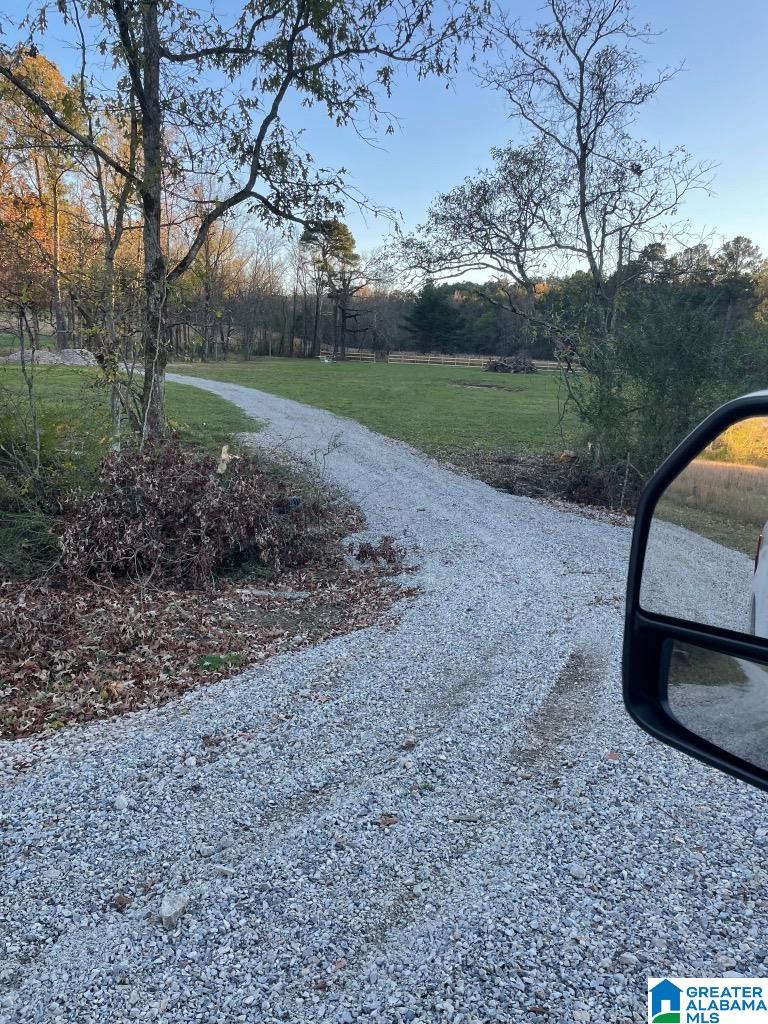 0 Poplar Springs Road Ashville, AL 35953 - Photo 5 of 10