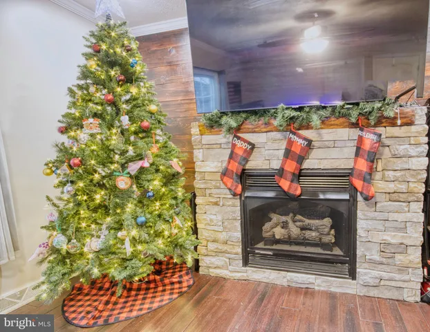 a view of entryway with flower pots
