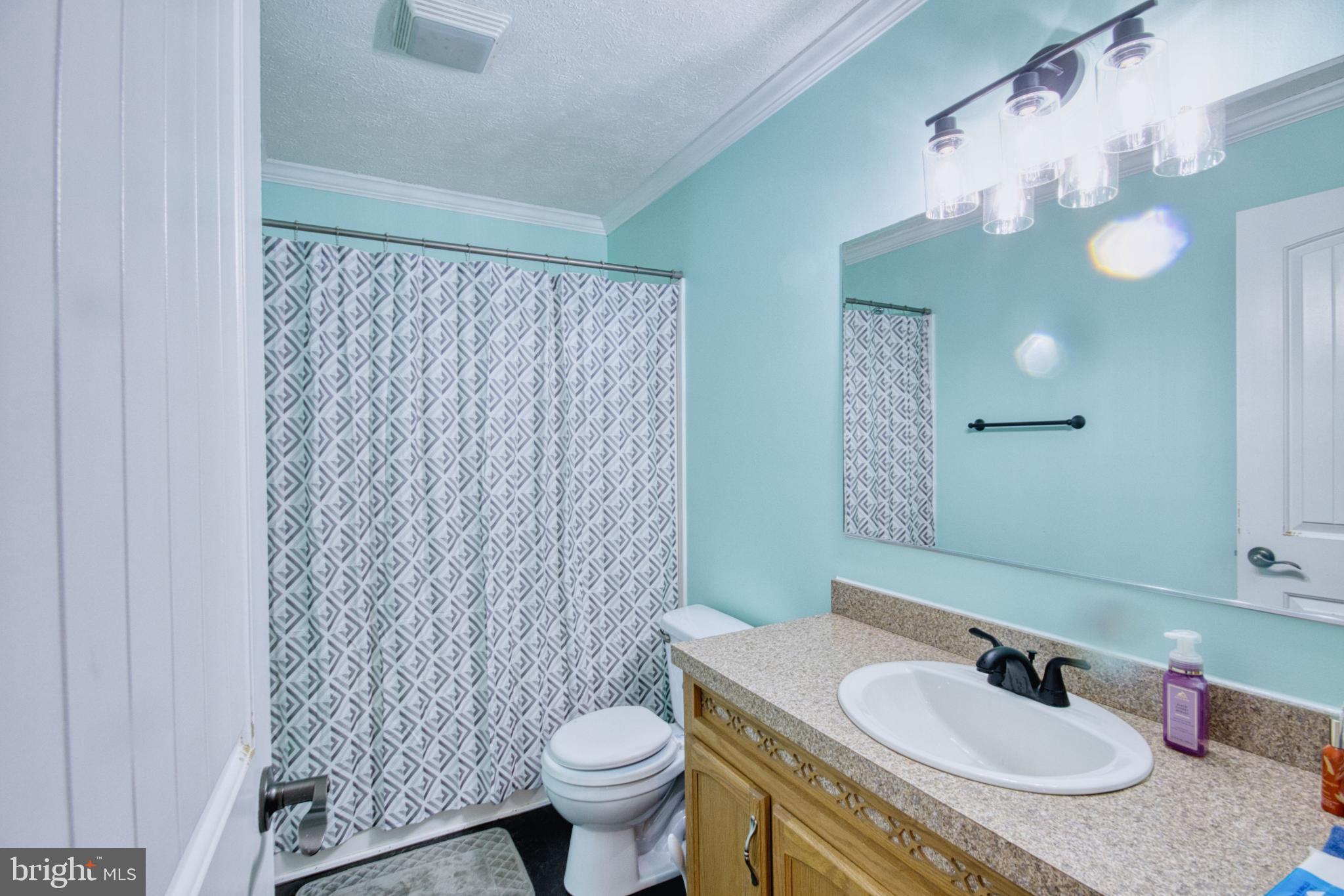 343 Dark Hollow Road Shermans Dale, PA 17090 - Photo 26 of 45 a bathroom with a sink toilet and shower