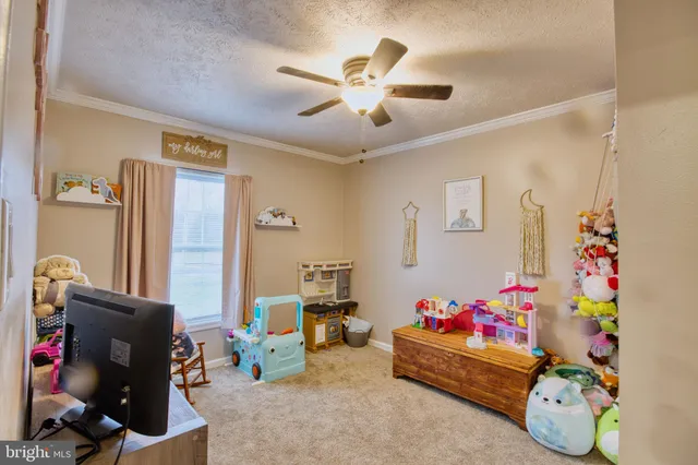 a bed room with furniture and a window