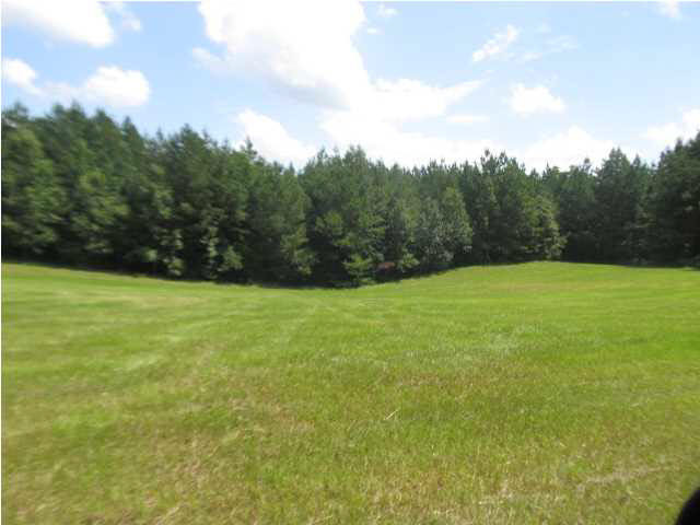 0 Rabbit College Road Lena, MS 39094 - Photo 1 of 7 Photo 1