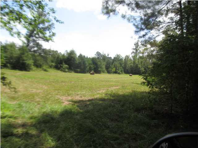 0 Rabbit College Road Lena, MS 39094 - Photo 2 of 7 Photo 2