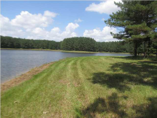 0 Rabbit College Road Lena, MS 39094 - Photo 3 of 7 Photo 3