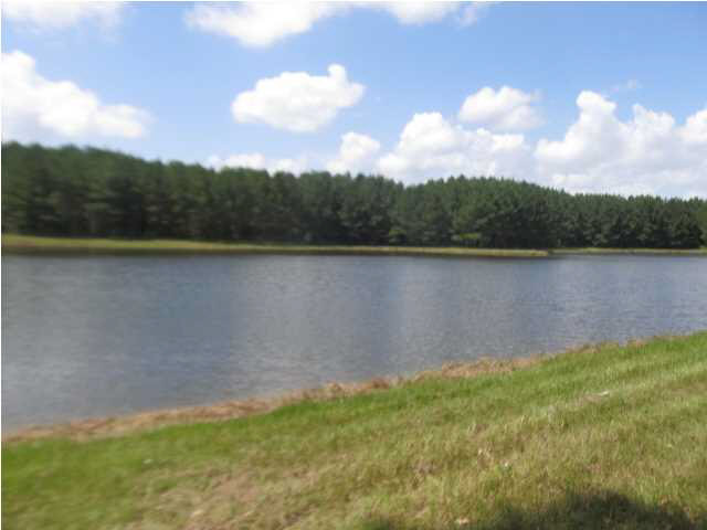 0 Rabbit College Road Lena, MS 39094 - Photo 4 of 7 Photo 4