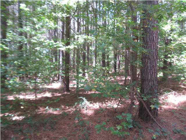 0 Rabbit College Road Lena, MS 39094 - Photo 7 of 7 Photo 7