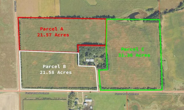 $249,000 | Forster Rd Forster Road Northeast, Carlos, MN 56319