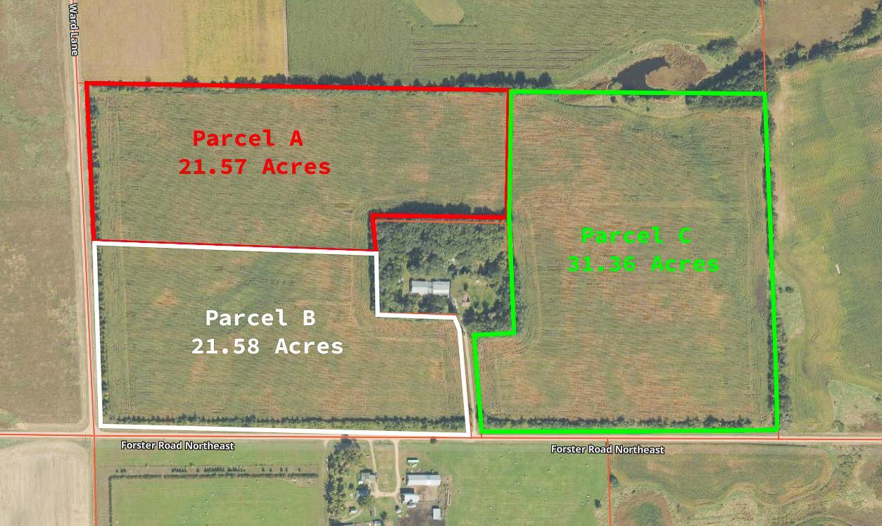 Ward Lane Forster Road Northeast Carlos, MN 56319 - Photo 1 of 10