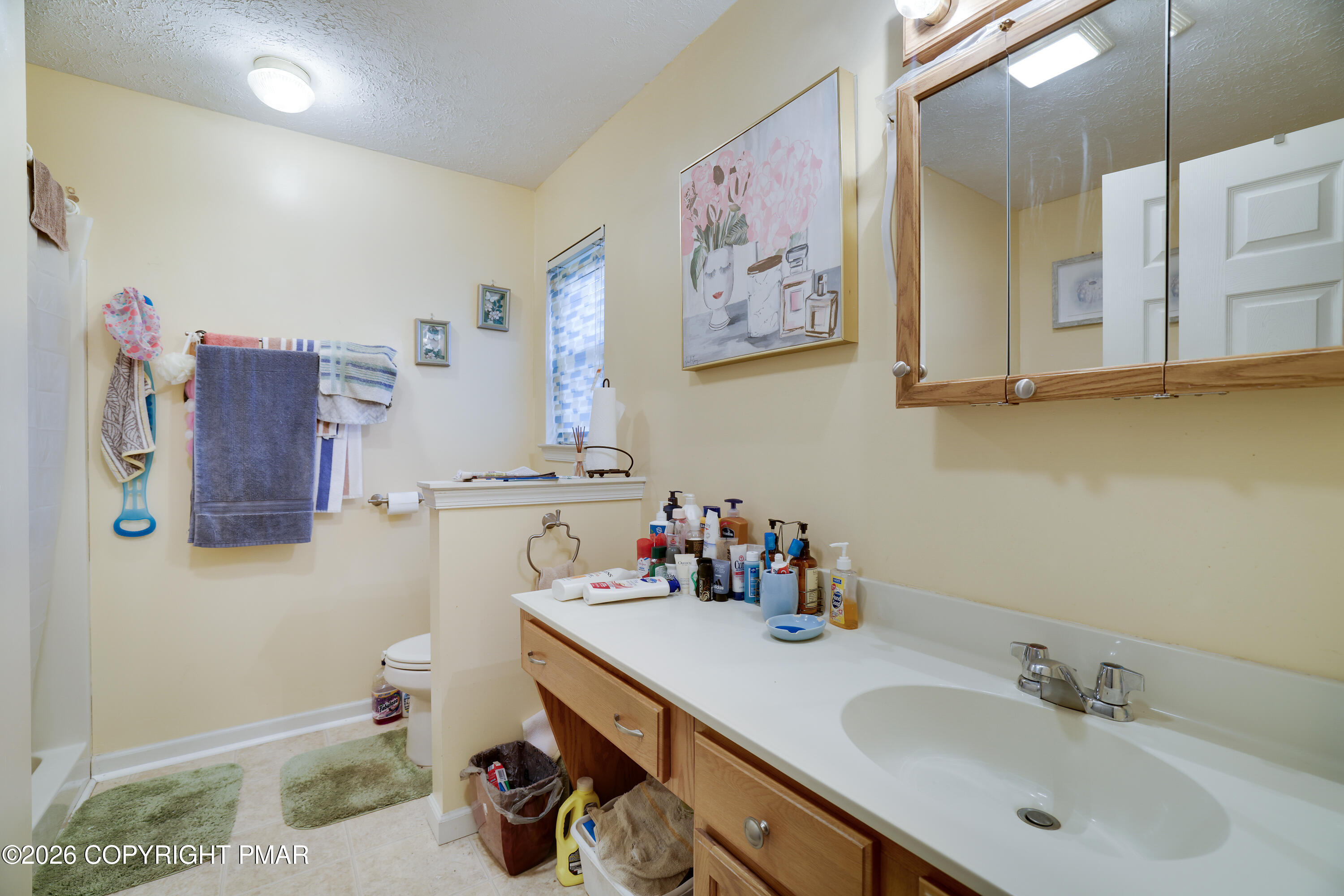 2137 Freedom Way Pocono Summit, PA 18346 - Photo 14 of 71 a bathroom with a sink and a mirror