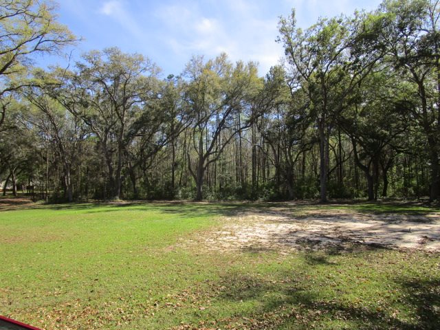 12571 Northwest Bird Pond Road Bristol, FL 32321 - Photo 6 of 31 Gallery Image 6