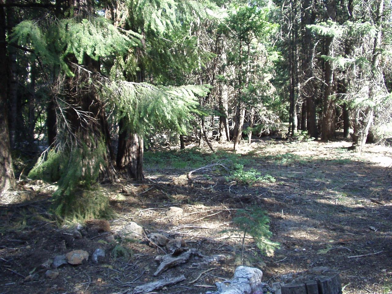 8044 Starlite Pines Road Shingletown, CA 96088 - Photo 2 of 18 Adjacent lot included
