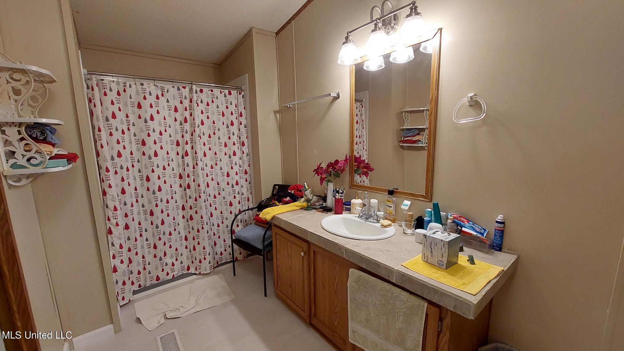 227 Go Go Road Poplarville, MS 39470 - Photo 11 of 23 Master bath