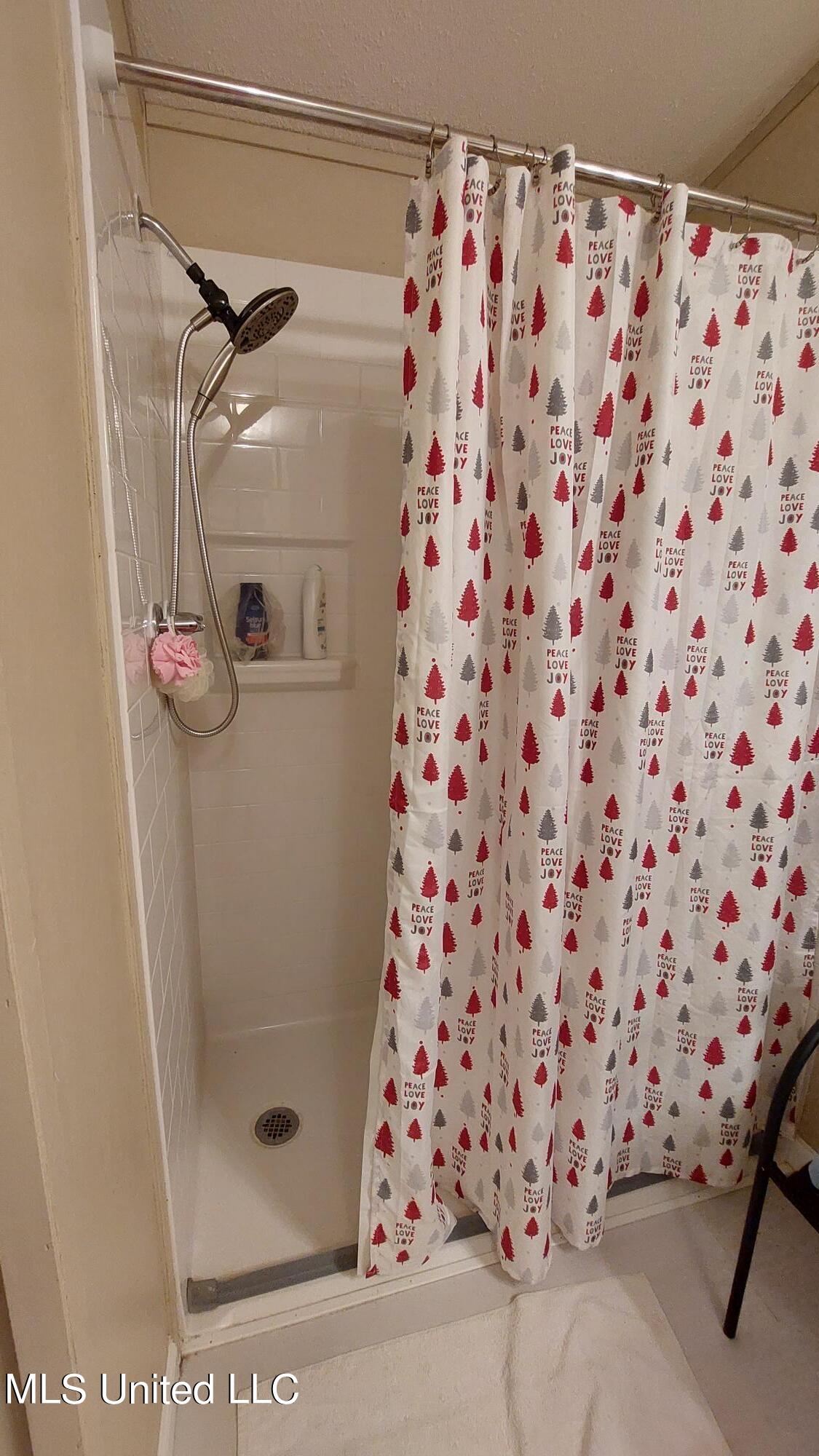 227 Go Go Road Poplarville, MS 39470 - Photo 12 of 23 Shower